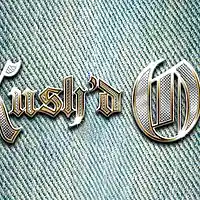 Picture for song 'KUSH'D OUT' by artist 'DA-pionneerr'