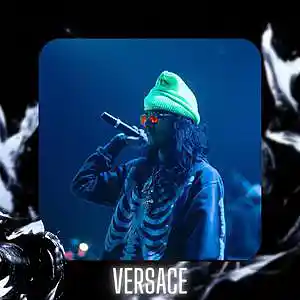 Picture for song '"Versace" Babytron & Babyfxce E Type Beat' by artist 'D V 1 R V E R S BEATS'