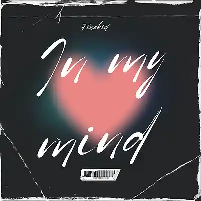 Picture for song 'Finekid-IMM' by artist 'Finekid'