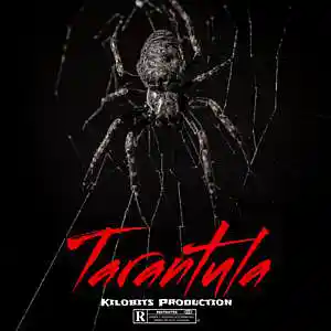 Picture for song 'Tarantula' by artist 'Kilobits Production'