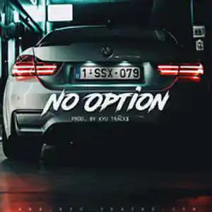 Picture for song 'NO OPTION' by artist 'Kyu Tracks'
