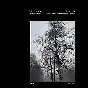 Picture for song 'You're Gonna Carry That Weight' by artist 'Marvin Mayo'