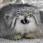 Picture for song '___*SAW YOU*___ (Free DL)' by artist 'MoSound Productions'