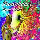 Picture for song 'Real Acid' by artist 'Pumphouse'