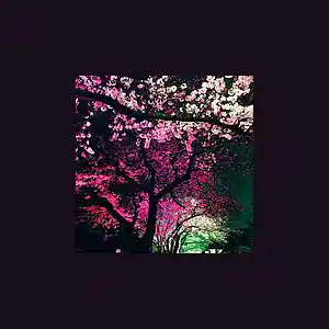 Picture for song '[NO TAG] Free Beat - Blossom 145 bpm [2]' by artist 'WHAT?BOYBEATS'