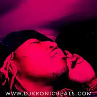 Picture for song 'All Birds ' by artist 'DJ Kronic Beats'