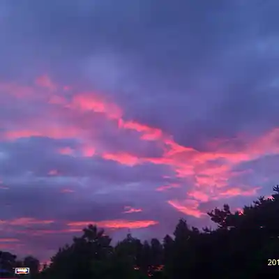 Picture for song 'acid 202' by artist 'Foundation a.k.a. DJ Sunrise'