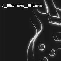 Picture for song 'back to blues' by artist 'JBonesBlues'