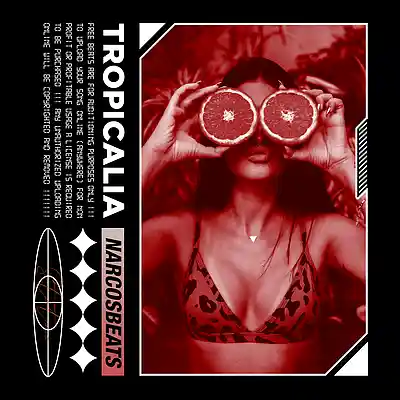 Picture for song 'TROPICALIA' by artist 'NarcosBeats'