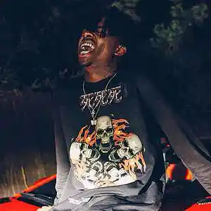 Picture for song 'Playboi Carti x Plugg x Pierre Bourne x Real Plugg' by artist 'pluggits'