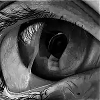 Picture for song 'Ojos' by artist 'raelissmusic'