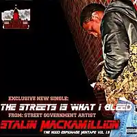 Picture for song 'The Streets Is What I Bleed' by artist 'Stalin B'Goods Mackamillion(US)'