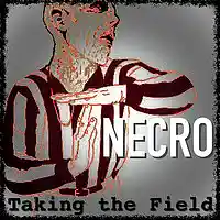 Picture for song 'Taking the Field' by artist 'Turtle Necromancer'