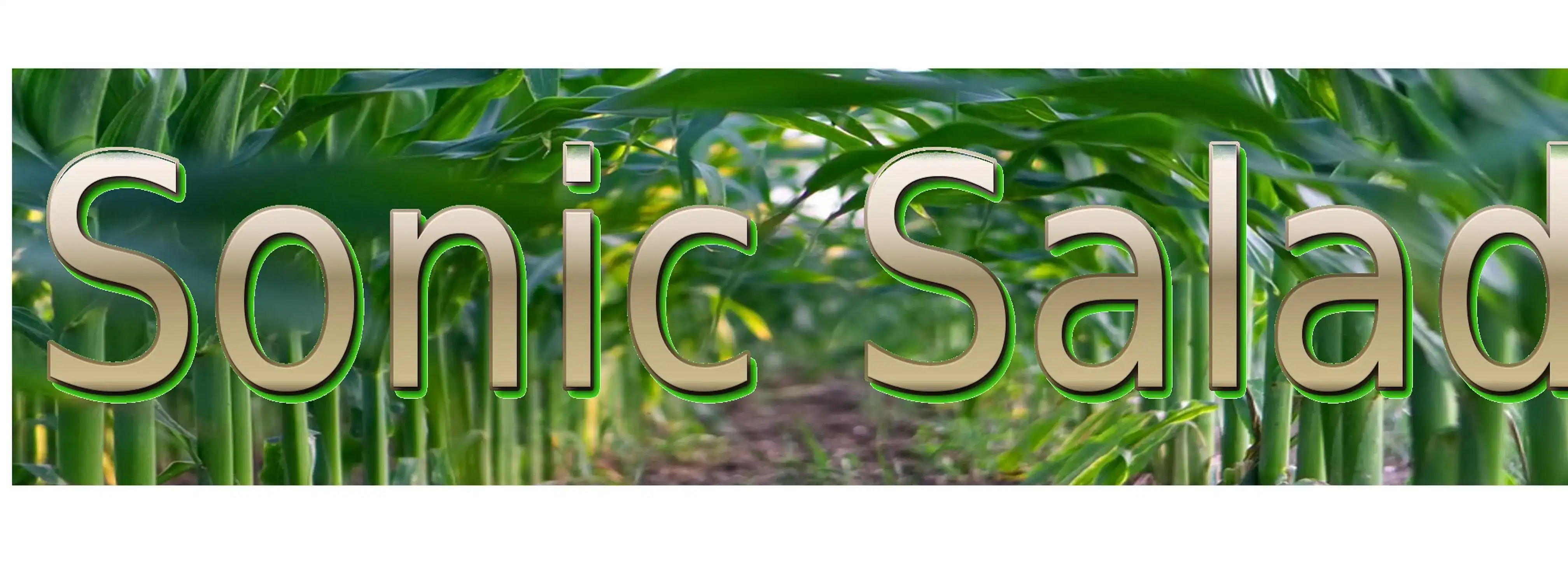 cover pic