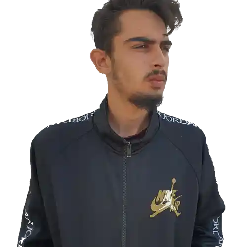 Artist picture
