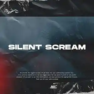 Picture for song 'Silent Scream' by artist 'Jaykar Beats'