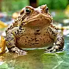 Picture for song 'Rock the fire' by artist 'John Seibel'