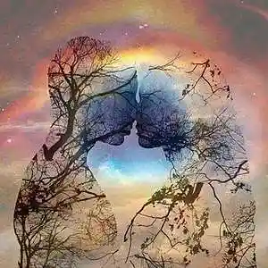 Picture for song 'Love Survives.' by artist 'Mark Ellis'
