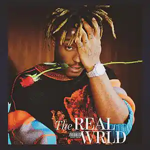 Picture for song 'RISE Juice Wrld Type Beat Guitar Hip Hop Instrum' by artist 'Quodis'