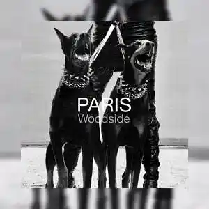 Picture for song 'Woodside - PARIS' by artist 'Woodside Beatz'