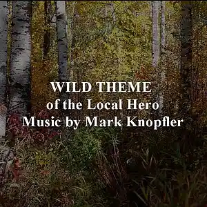 Picture for song 'Wild Theme - Local Hero' by artist 'Yuriy Erokhin'