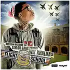 Picture for song '**Top Hit** Flight Simulated ($.75 DEMO DL)' by artist 'Euphoria MusiK Productions'