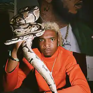 Picture for song 'Odyssey (lil keed x pyrex whippa type beat)' by artist 'Maori Beats'