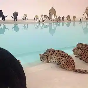 Picture for song 'Tiger' by artist 'pandamusic'