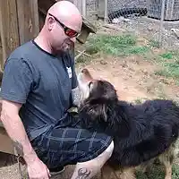 Picture for song 'The rain' by artist 'Trip ELEment'