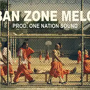 Picture for song 'URBAN ZONE MELODY' by artist '1N SOUND'
