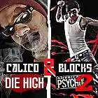 Picture for song '28 - Stay Away (Calico feat. Cyllable)' by artist 'Calico and Blocks'