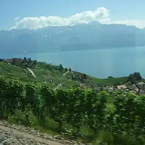 Picture for song 'El caballo robado' by artist 'Glicolisis anaerobica'