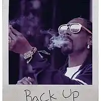 Picture for song '#goldengatemusic - Back Up ' by artist 'goldengatemusic'