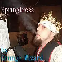 Picture for song 'Springtress - by Grunge Wizard - Classic Beats' by artist 'House of the Knife Recordings'