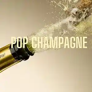 Picture for song 'Pop Champagne' by artist 'Instrumentable Beatz'