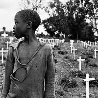 Picture for song ''Genocide'' by artist 'Jethro Beats'