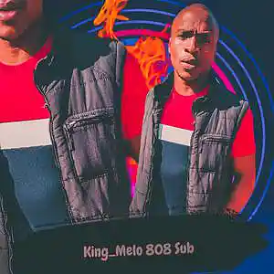 Picture for song 'King_Melo_-_808_Sub' by artist 'King Melo MusiQ'