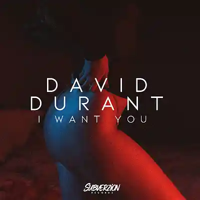 Picture for song 'I Want You (Festival Mix)' by artist 'Melotone Recordings'