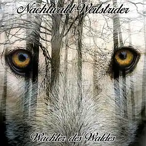 Picture for song 'Lichtsaule' by artist 'Nachtwald Weitstrider'