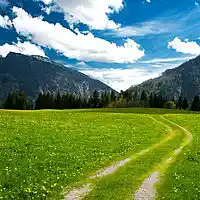 Picture for song 'Memorial' by artist 'Phillip Lovgren'