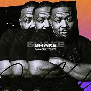 Picture for song 'Shake - Timbaland type beat' by artist 'RICH MELLO'