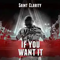 Picture for song 'If you want it' by artist 'Saint Clarity'