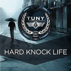 Picture for song 'hard knock life' by artist 'Tuny Beats'