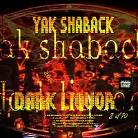 Picture for song 'kenan skemin heater' by artist 'Y.A.K.'