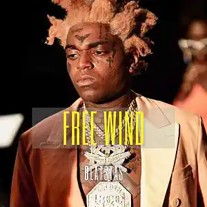 Picture for song 'Free Wind (Buy at beatstas.com) (Kodak Black Type ' by artist 'BeatStas'