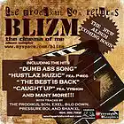 Picture for song 'DUMB ASS SONG (RADIO MIX)' by artist 'Blizm'