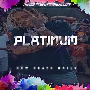 Picture for song 'Platinum' by artist 'Brandnew Beats'