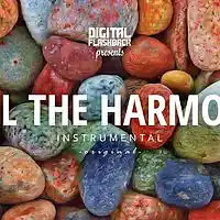 Picture for song 'Feel The Harmony ' by artist 'Digital Flashback Beats'