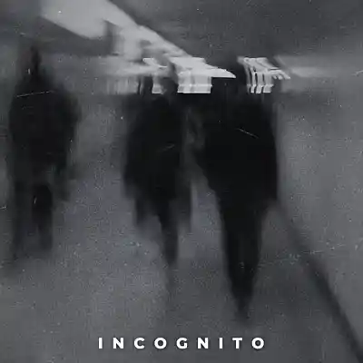 Picture for song 'Incognito' by artist 'Erawy'