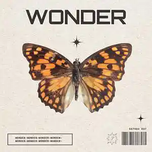 Picture for song '"WONDER" Trap x Rap Instrumental 2023' by artist 'Fabreats'